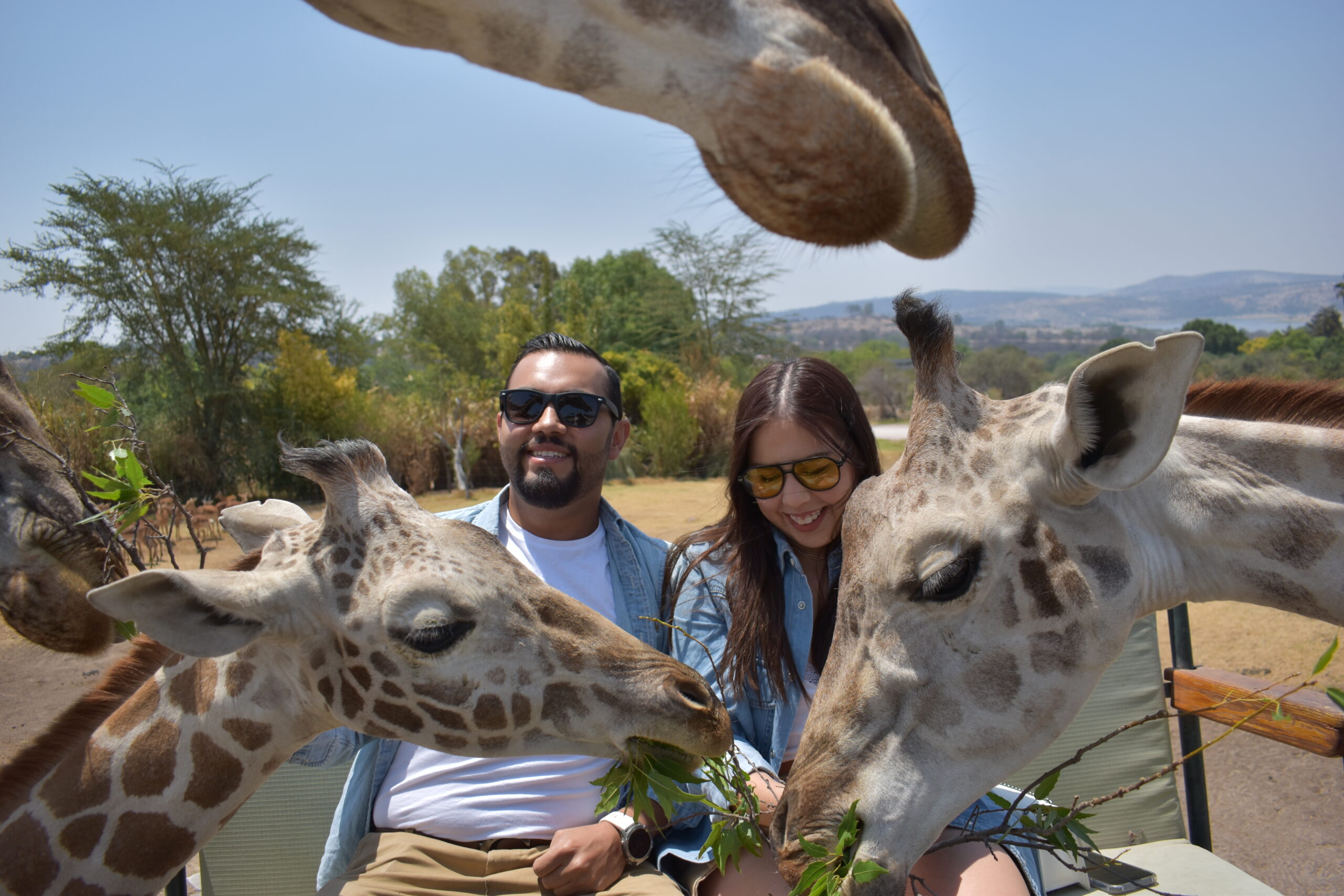 Isa y Paco Nuestra Boda} (2)